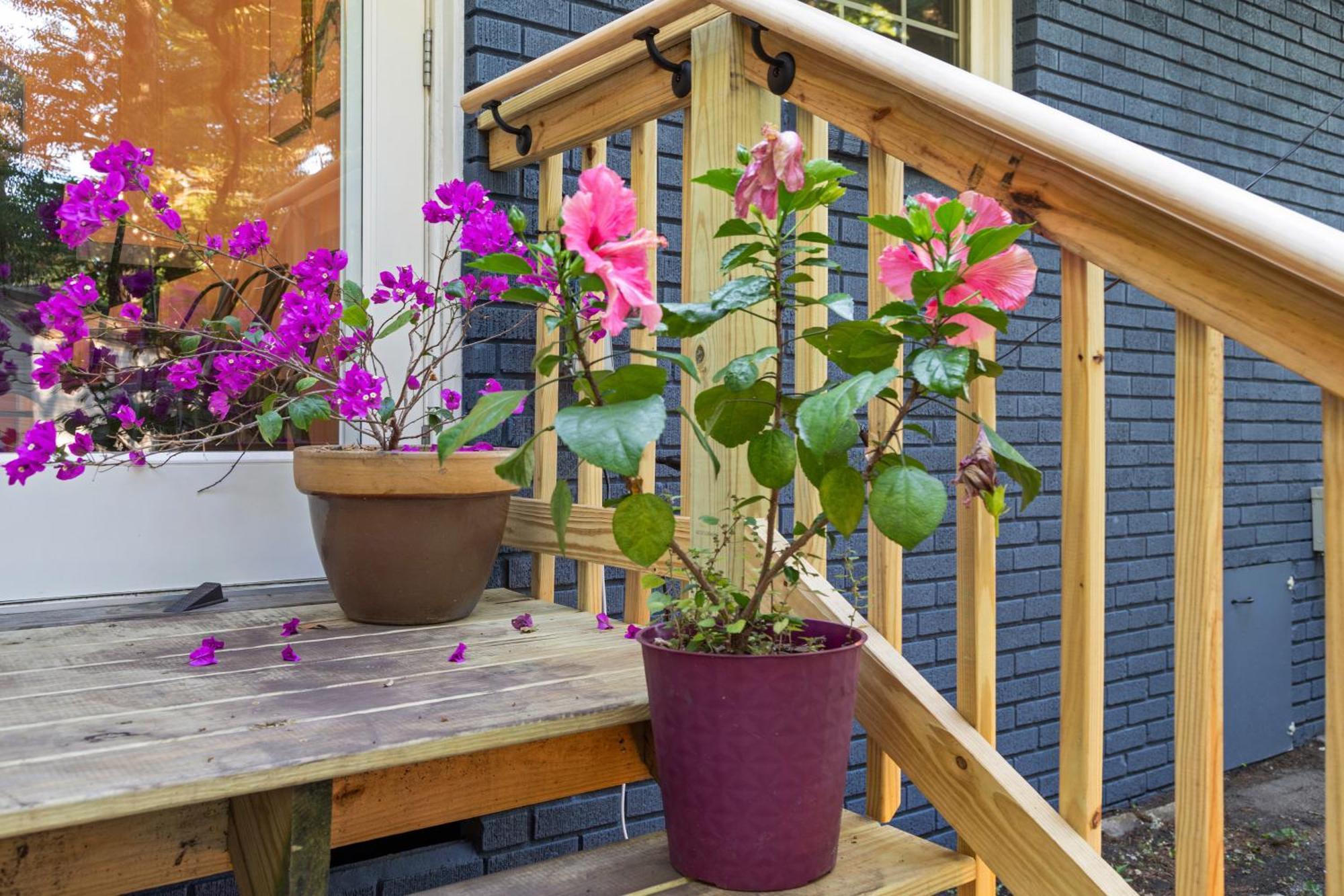 Park Circle Ranch House Holiday home Charleston